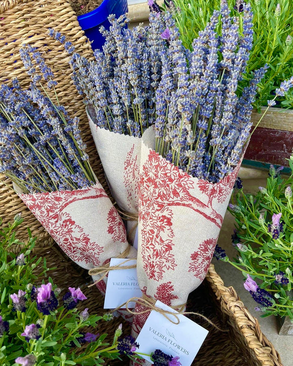 Mazzetti di Lavanda Essiccata